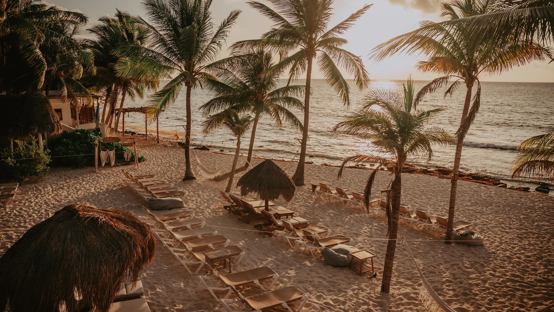 Petit Lafitte Beach Front Hotel & Bungalows Плая-дель-Кармен