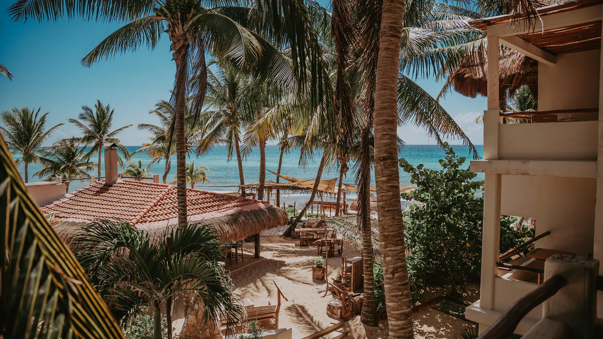 Petit Lafitte Beach Front Hotel & Bungalows Плая-дель-Кармен