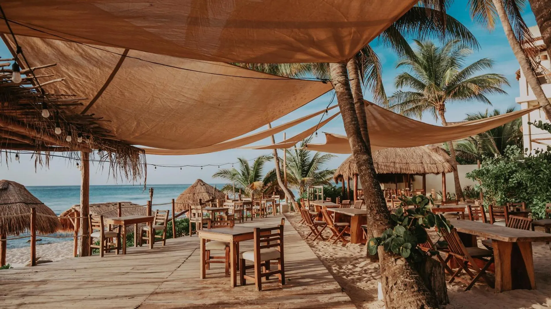 Petit Lafitte Beach Front Hotel & Bungalows Плая-дель-Кармен