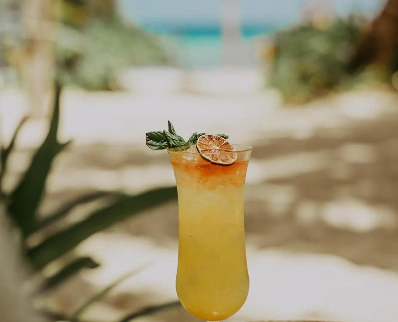 Petit Lafitte Beach Front Hotel & Bungalows Плая-дель-Кармен