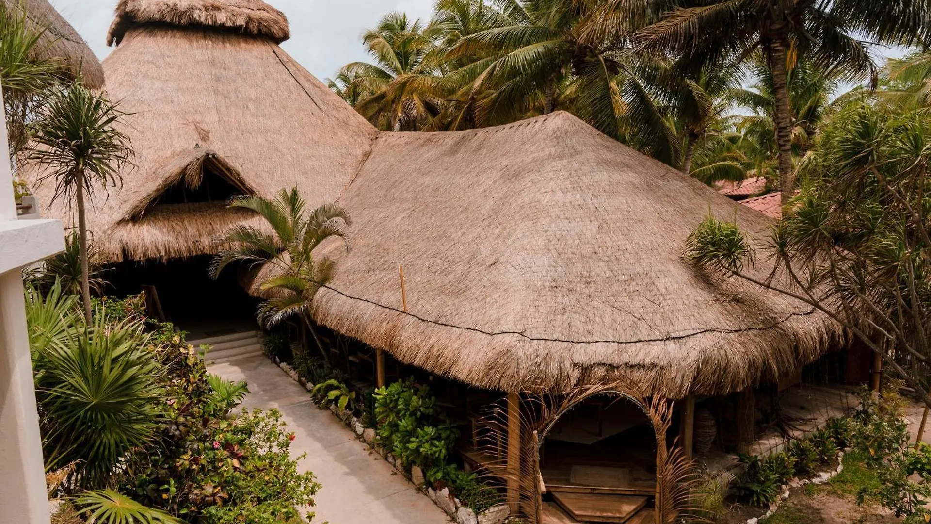 Petit Lafitte Beach Front Hotel & Bungalows Плая-дель-Кармен